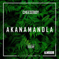 Cheeseboy - Akanamandla (Explicit)