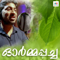 Vineeth Sreenivasan - Ormapacha