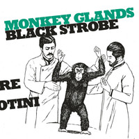 Black Strobe - Monkey Glands