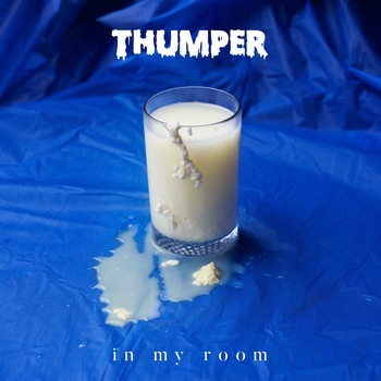 Thumper - In My Room (Radio Edit)