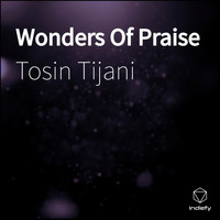Tosin Tijani - Wonders of Praise