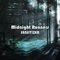 Sensitizer - Midnight Runners