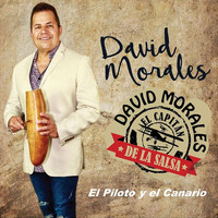 David Morales - El Piloto y el Canario