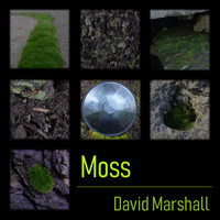 David Marshall - Moss