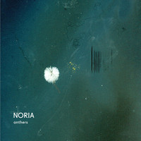 Noria - Anthers