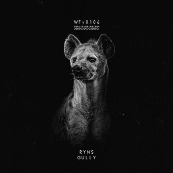 Ryns - Gully