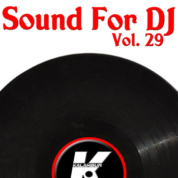 Various Artists - SOUND FOR DJ VOL 29 (Explicit)