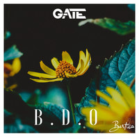 Gate - Bdo