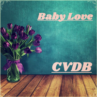 CVDB - This One's For You (BPM 124) [feat. Shai] [Reprise To David Guetta Feat Zara Larsson]