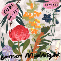 Cosmo's Midnight - C.U.D.I (Can U Dig It) [Remixes]