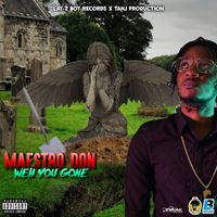 Maestro Don - Weh You Gone - Single