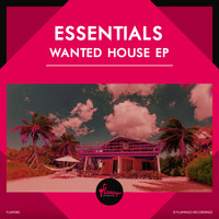 Essentials - Wanted House EP