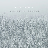 V.S.D. Project - Winter is Coming