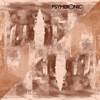 Psymbionic - Bionic Chronic (Lucchii Remix)