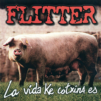 Flitter - La Vida Ke Cotxina Es