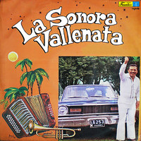 La Sonora Vallenata - La Sonora Vallenata