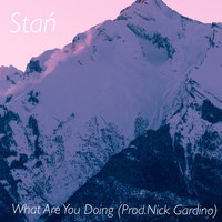 Stan - What Are You Doing