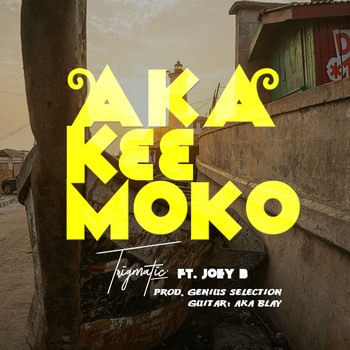 Trigmatic featuring Joey B - Aka K33 Moko
