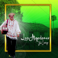 Yin Carrizo - Los Algodones