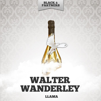 Walter Wanderley - Llama