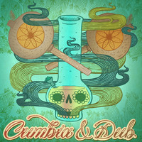 Los Destellos - Cumbia & Dub