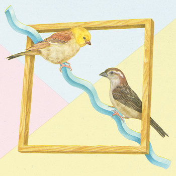 Sparrows - Collected Visits