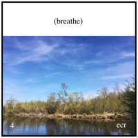 David Paul Mesler - Breathe 4