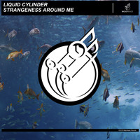 Liquid Cylinder - Strangeness Around Me