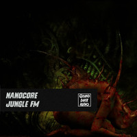Nanocore - Jungle Fm