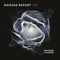 Damage Report - Heavyweight / Just A Joke