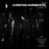 Christian Hornbostel - Elevatio
