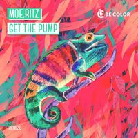 Moe.Ritz - Get The Pump