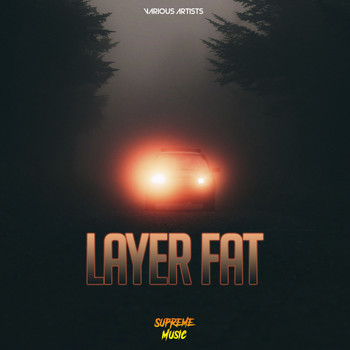 Various Artists - Layer Fat