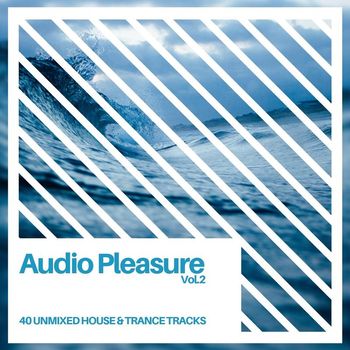 Various Artists - Audio Pleasure Vol.2 (Radio Edits)