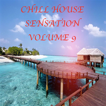 Various Artists - Chill House Sensation, Vol.9 (BEST SELECTION OF LOUNGE & CHILL HOUSE TRACKS)