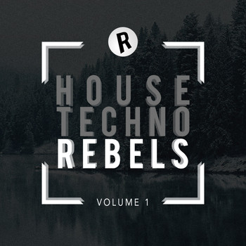 Various Artists - Techno House Rebels