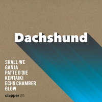Dachshund - Remember