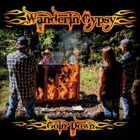 Wanderin Gypsy - Goin' Down