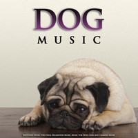 Dog Music, Music For Dog's Ears, Sleeping Music For Dogs - Dog Music: Soothing Music For Dogs, Relaxation Music, Music For Dogs Ears and Calming Music