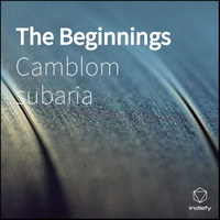 Camblom Subaria - The Beginnings