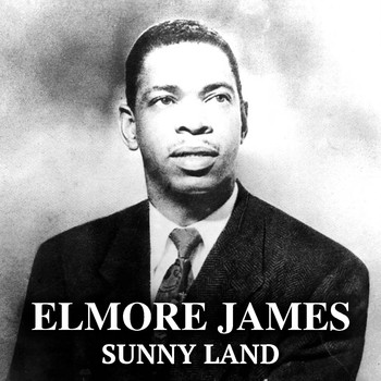 Elmore James - Sunny Land