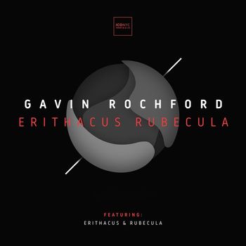 Gavin Rochford - Erithacus Rubecula