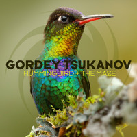 Gordey Tsukanov - Hummingbird + The Maze
