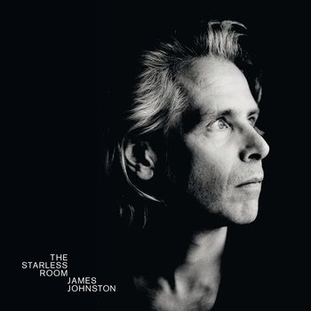 James Johnston - The Starless Room