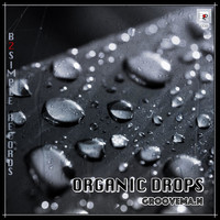 GrooveMa.N - Organic Drops