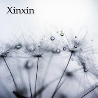 Xin - Xinxin