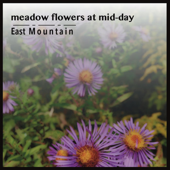 East Mountain - Meadow Flowers at Mid-Day