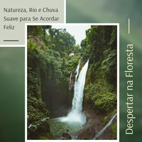 Thiago Flores dos Santos - Despertar na Floresta - Córrego da Montanha, Natureza, Rio e Chuva Suave para Se Acordar Feliz