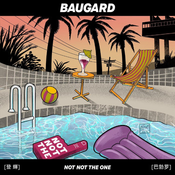Baugard - Not Not the One