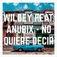 Wildey - No Quiere Decir (feat. Anubix)